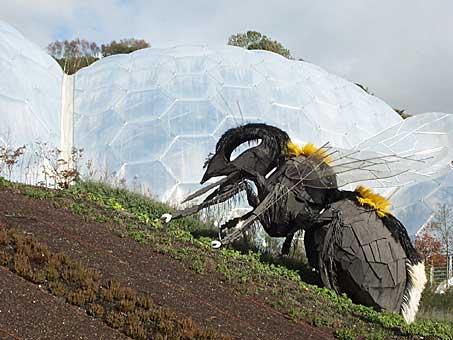 cornwall eden project				